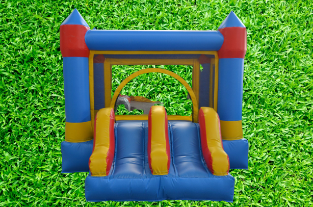 BLUE-RAY-ON-GRASS